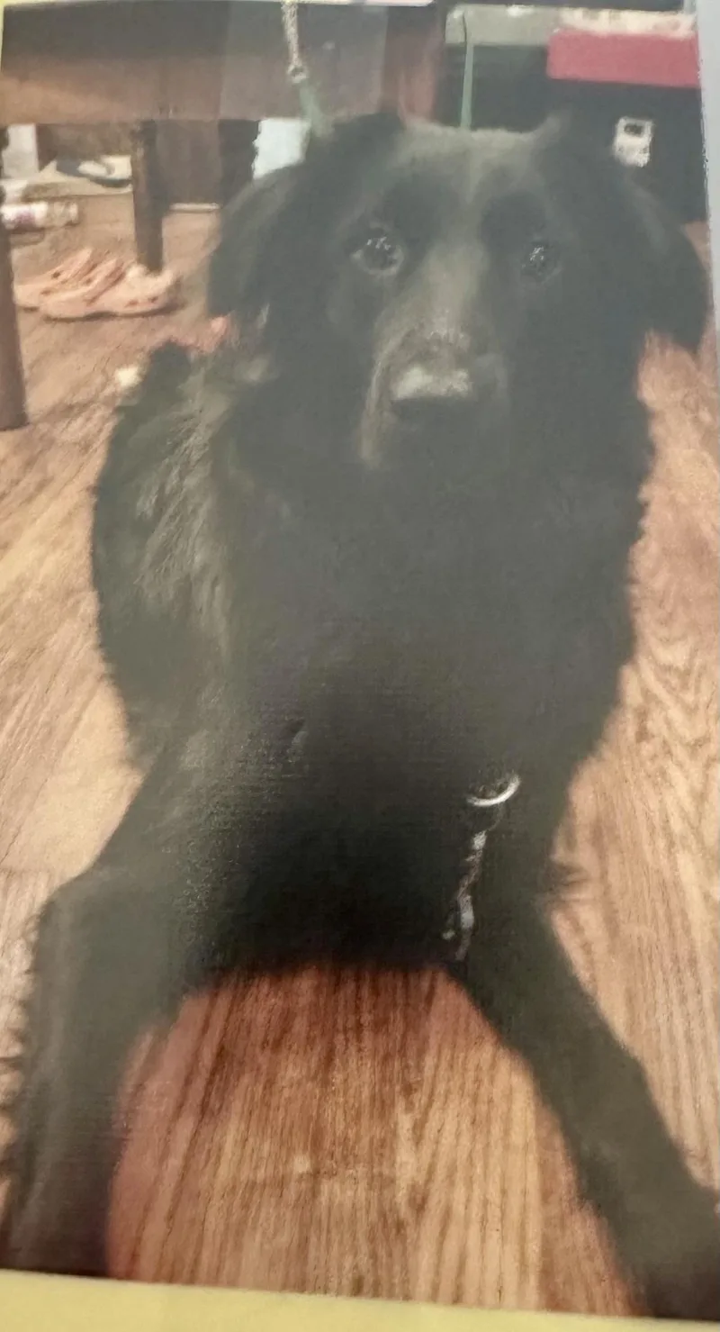 Smart Girl!!! thumbnail 3