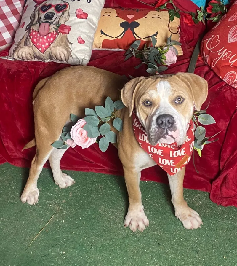 Beautiful Kami thumbnail 4