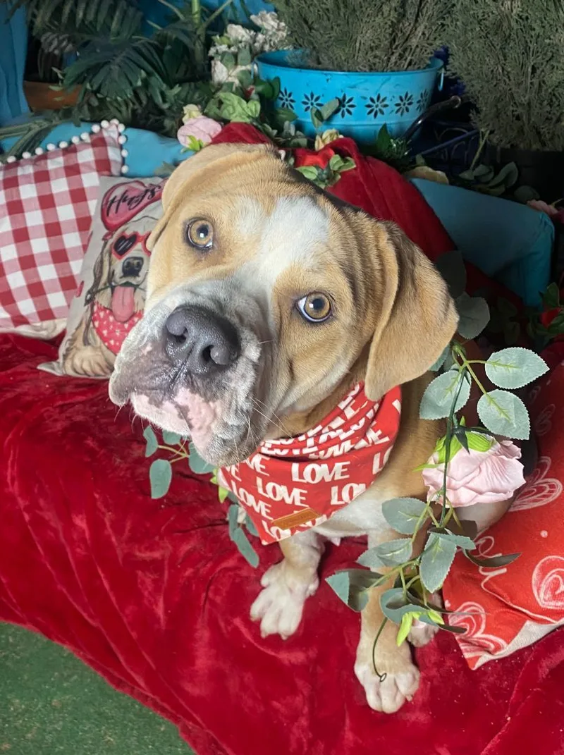 Beautiful Kami thumbnail 5