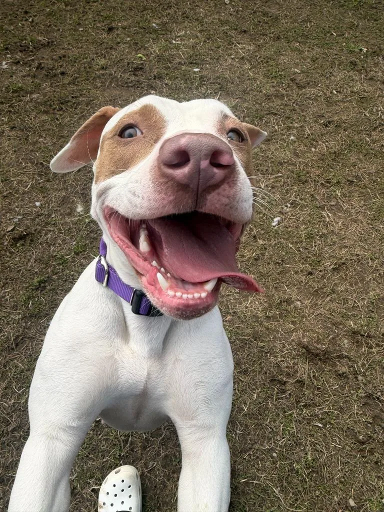 Sunshine thumbnail 3