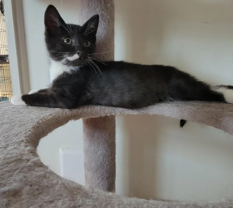 Vonnegut thumbnail 5