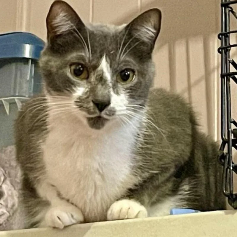 Gracie And Oliver thumbnail 3