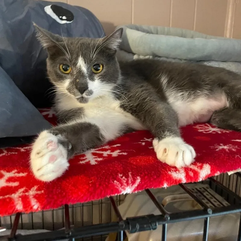 Gracie And Oliver thumbnail 5