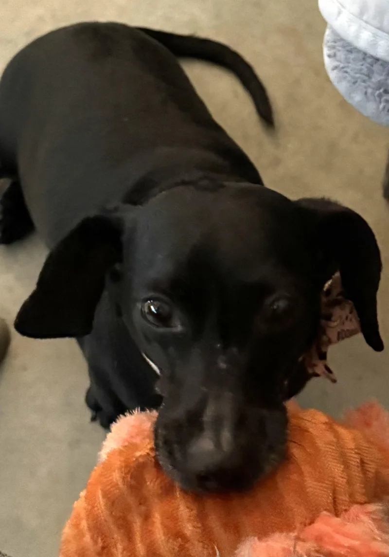 Molly Mae