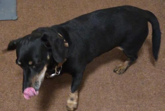 Molly Mae thumbnail 2