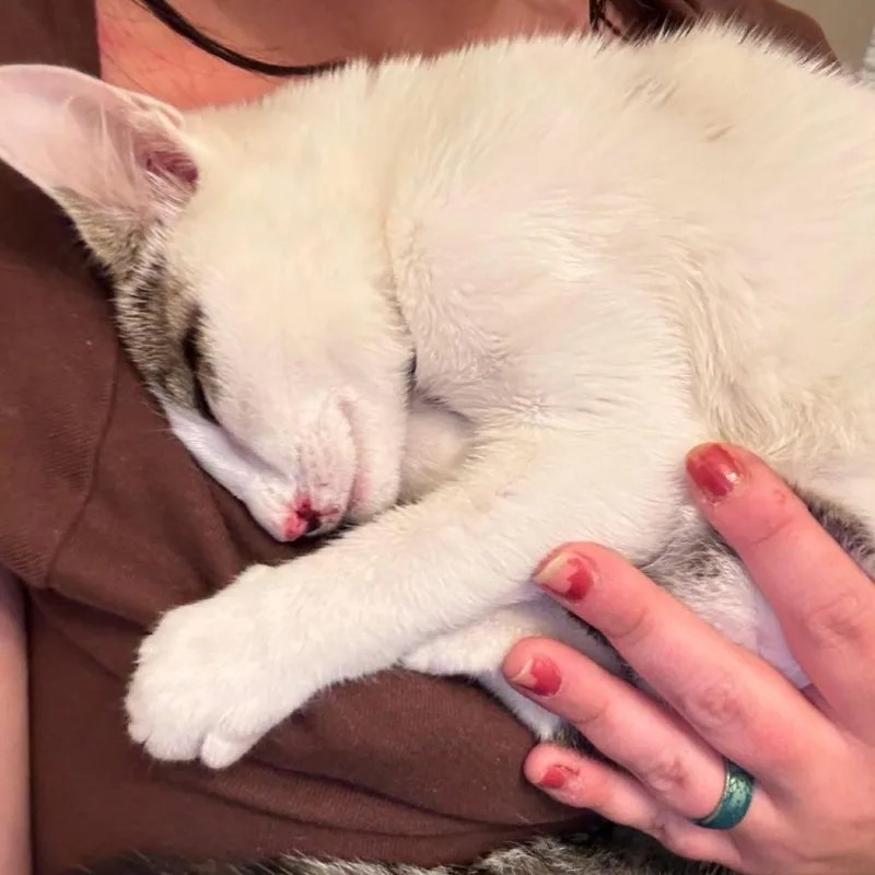 Susan thumbnail 3