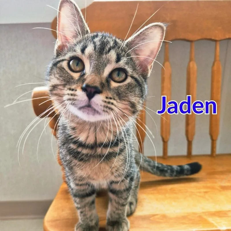 Jaden thumbnail 2