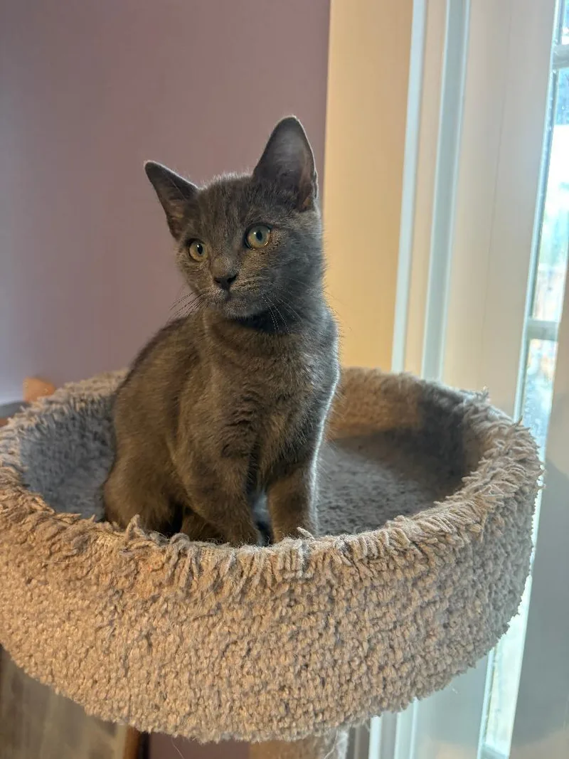 Lady Luna thumbnail 3