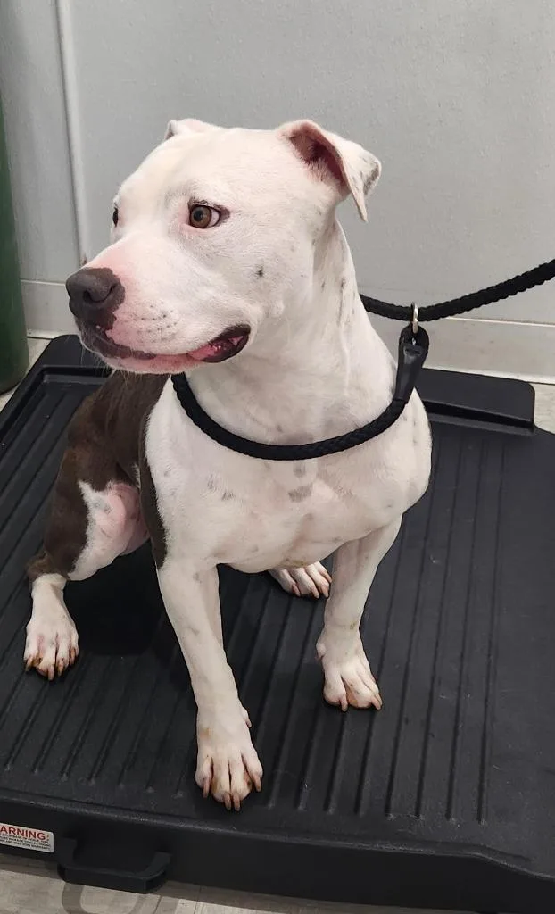 Eminem AKA Lucky