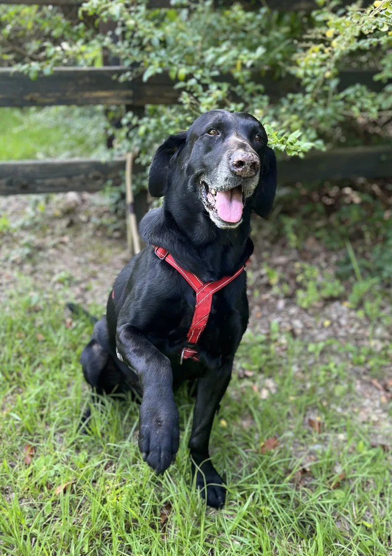 Sam
