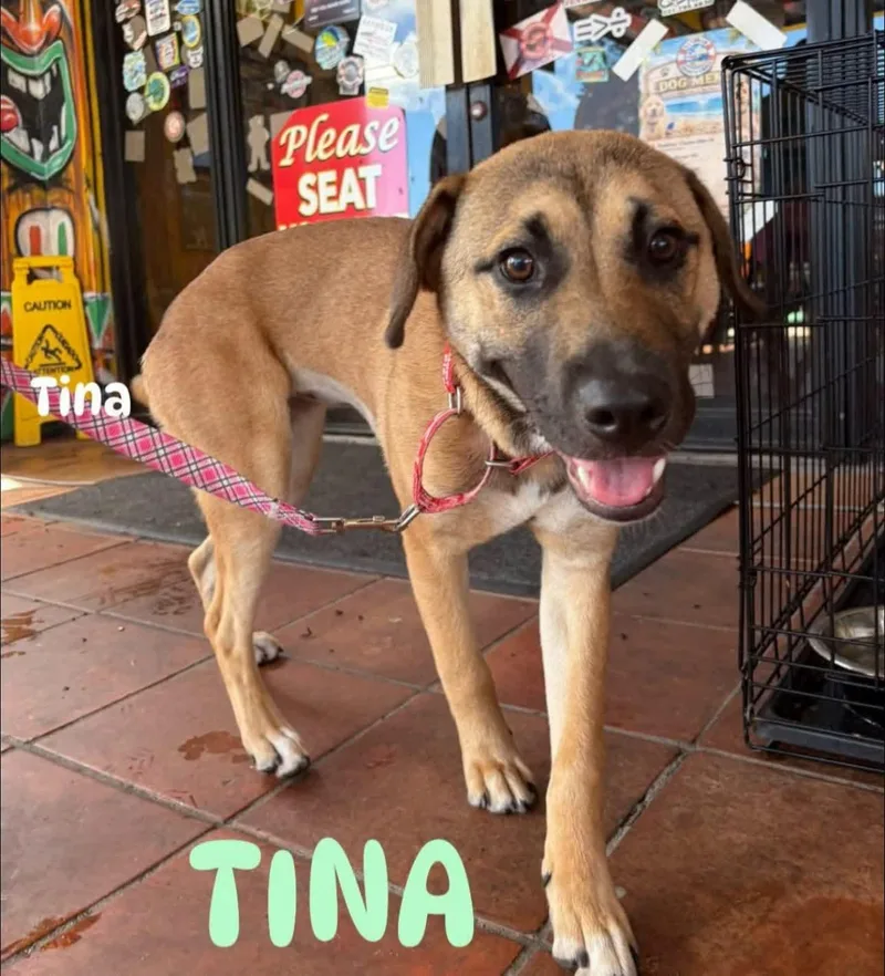 Tina thumbnail 5