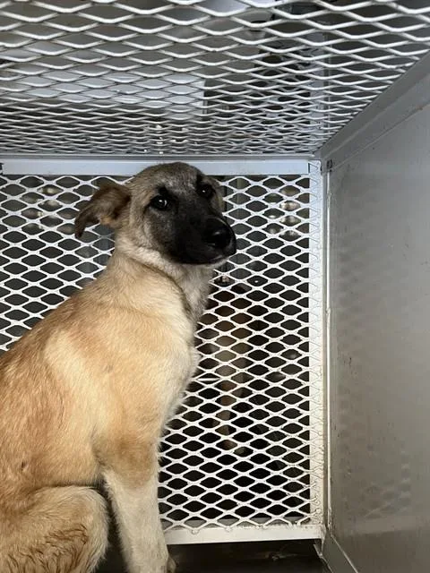 Winnie