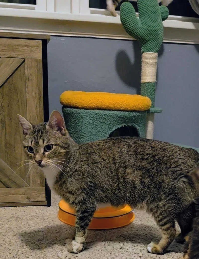 Frannie thumbnail 3