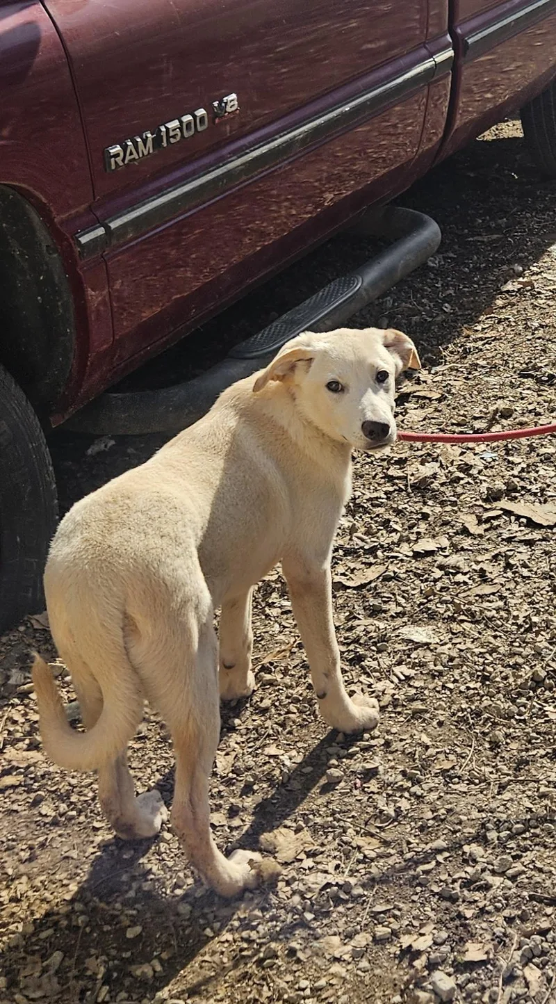 Robbie  Come Meet thumbnail 3