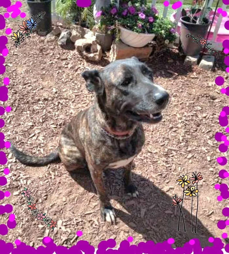 Hermes Zeus Greek God thumbnail 2