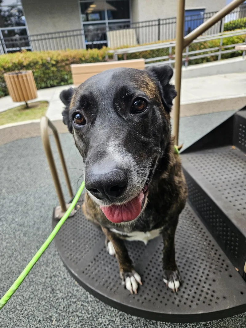 Hermes Zeus Greek God thumbnail 3