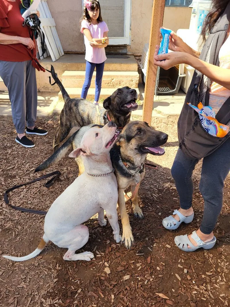 Hermes Zeus Greek God thumbnail 4