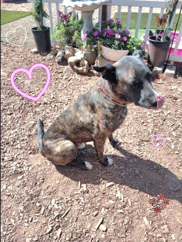 Hermes Zeus Greek God thumbnail 5