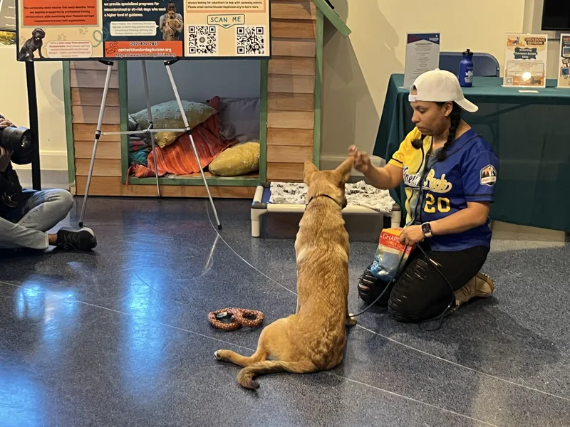 Gwendolyn thumbnail 2