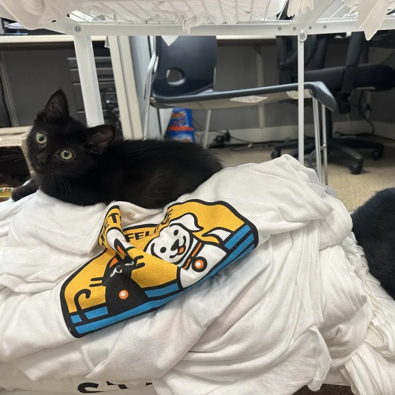 Chonker thumbnail 3
