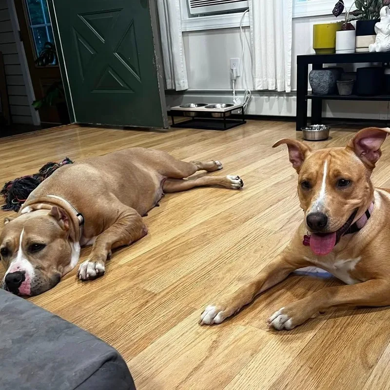 Charlotte thumbnail 2