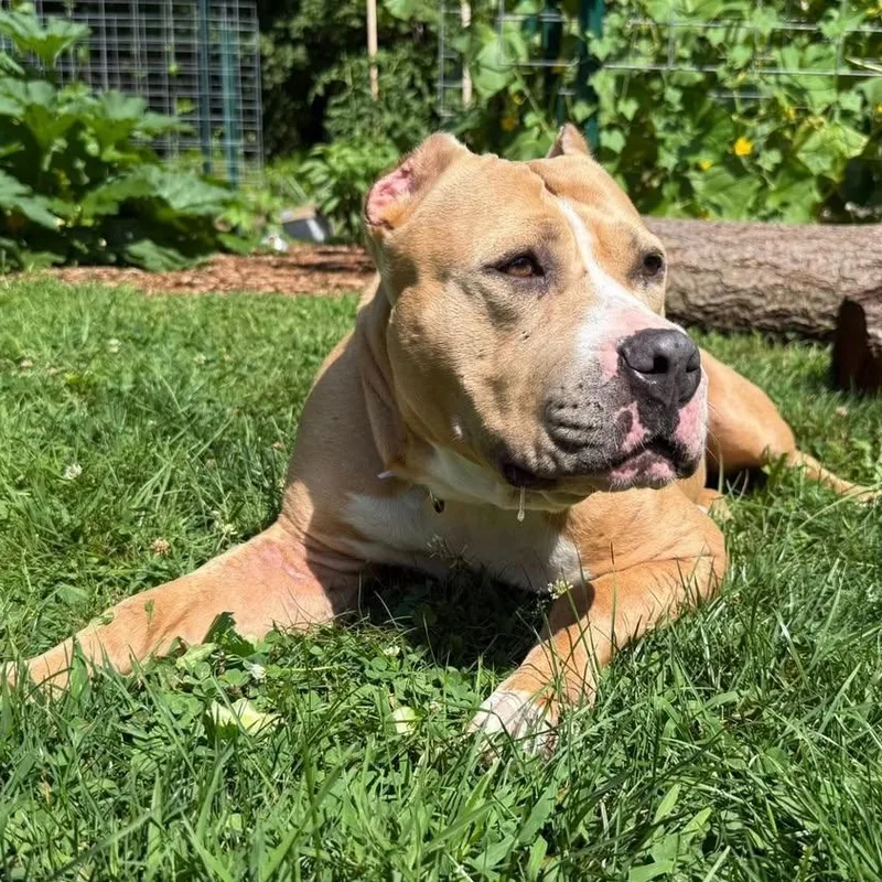 Charlotte thumbnail 3