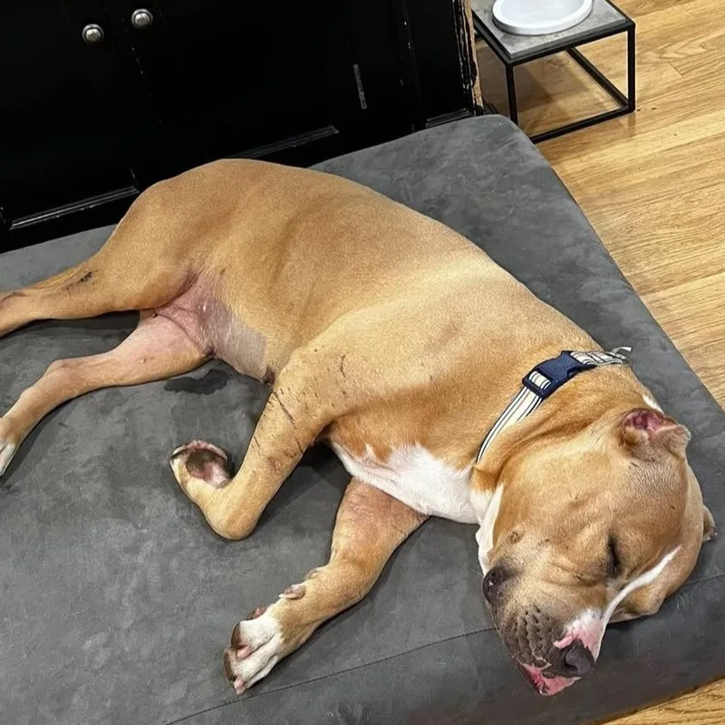 Charlotte thumbnail 6