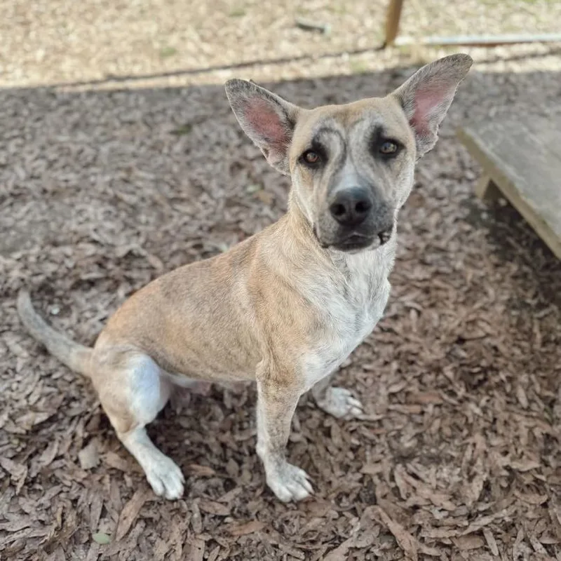 Catherine thumbnail 2