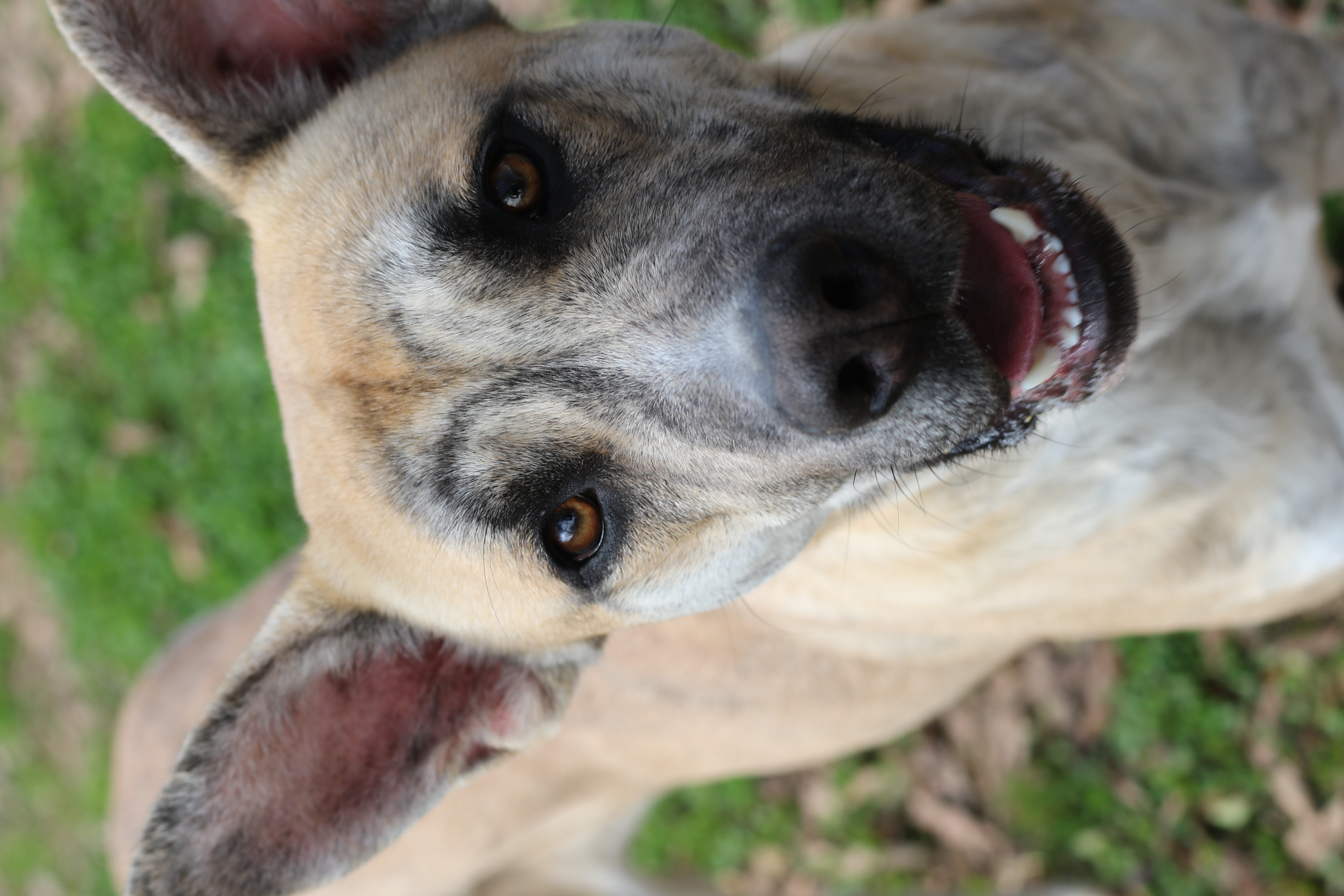 Catherine thumbnail 4