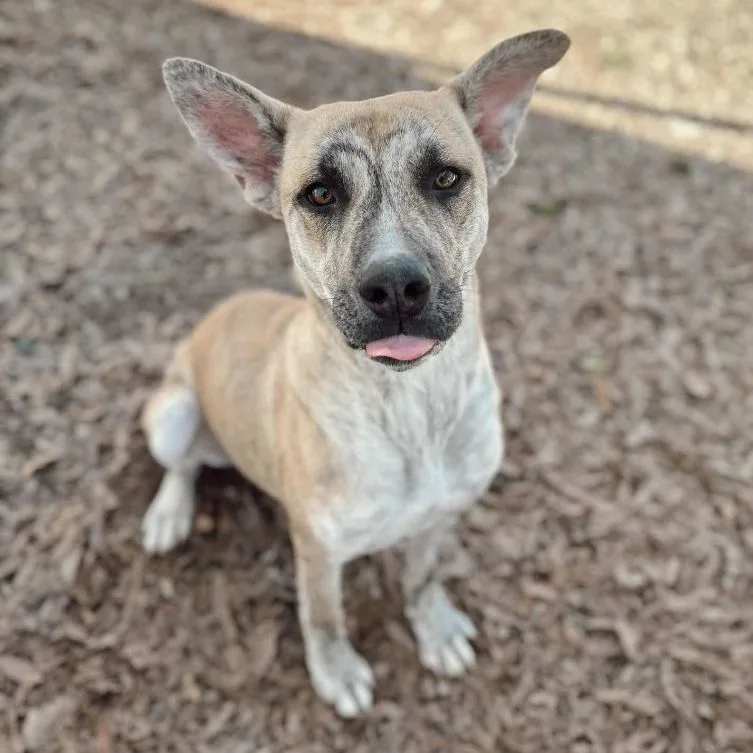 Catherine thumbnail 5