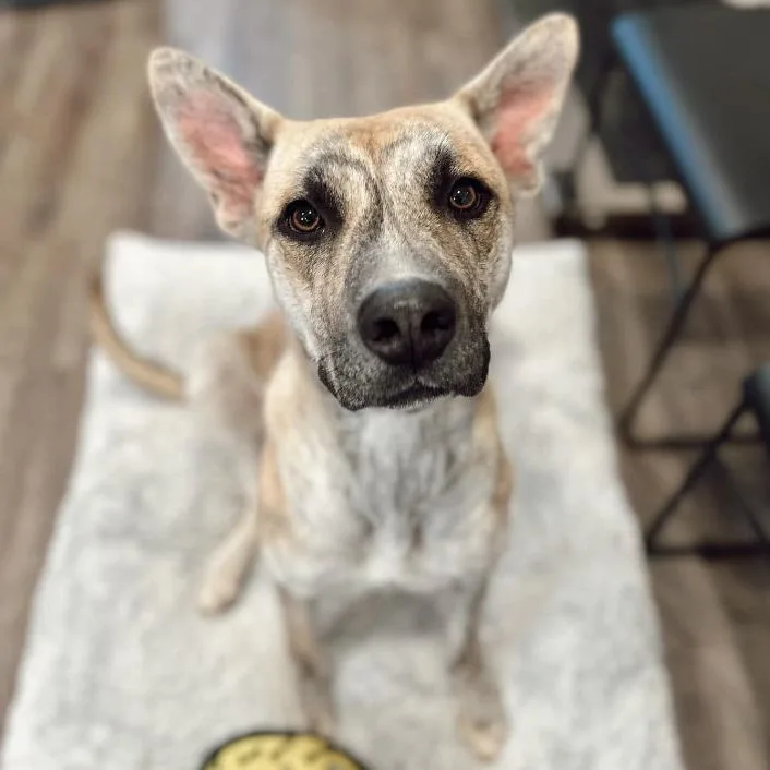 Catherine thumbnail 6