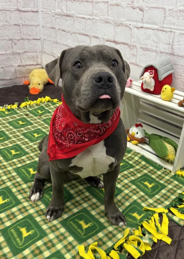 Eristotle thumbnail 2