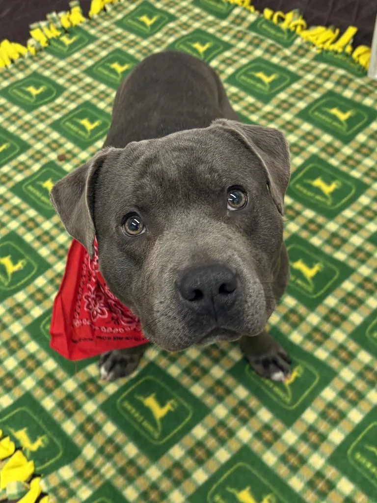 Eristotle thumbnail 3