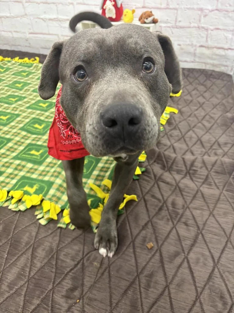 Eristotle thumbnail 4