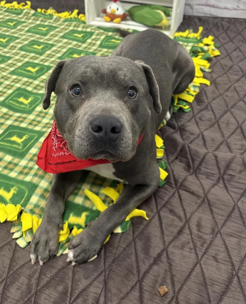 Eristotle thumbnail 5