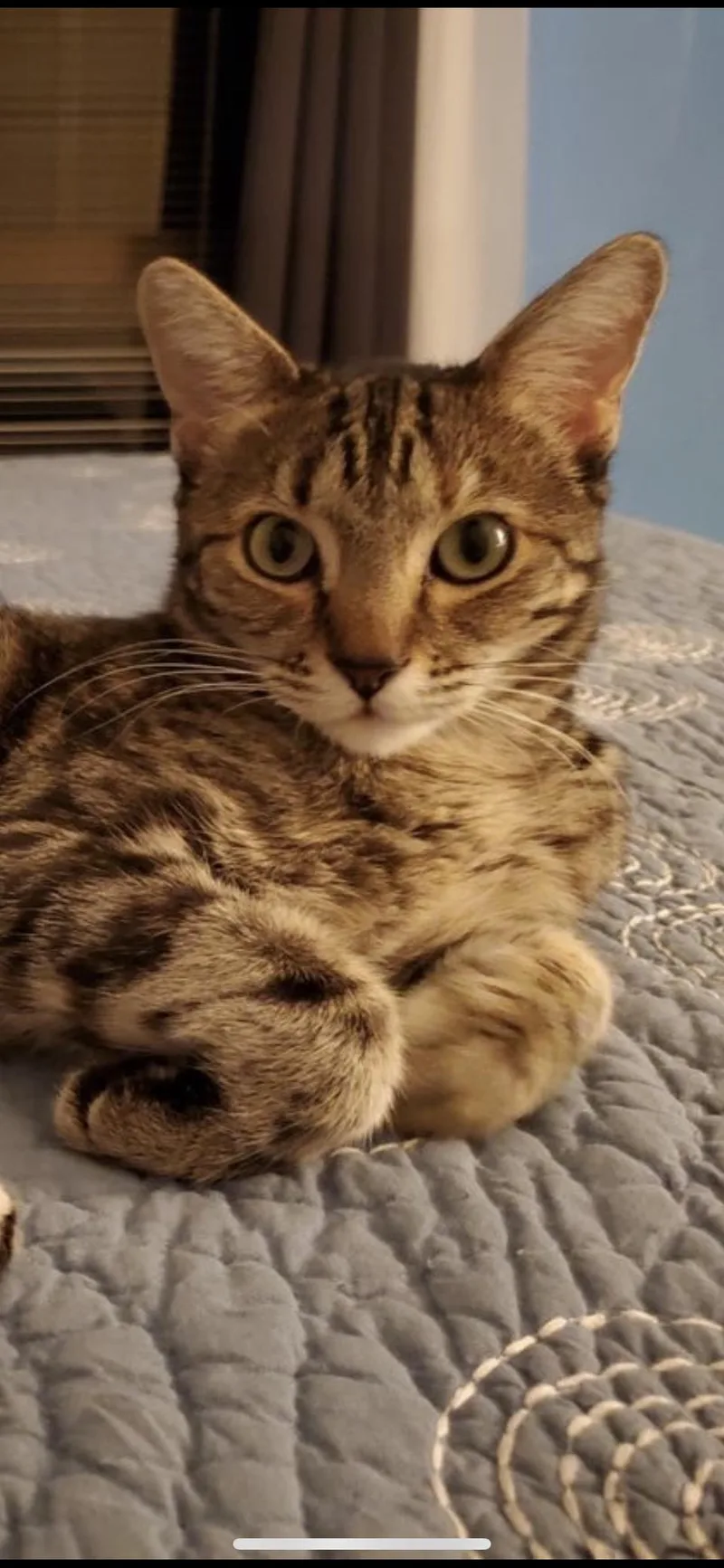 Ellie thumbnail 3