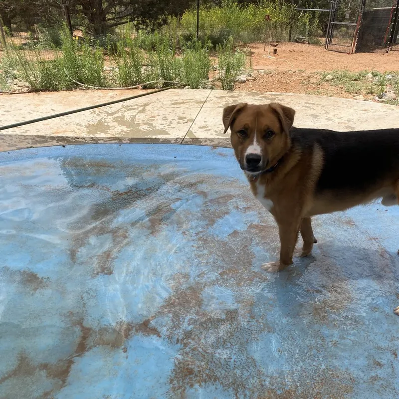 Dr. Seuss thumbnail 2