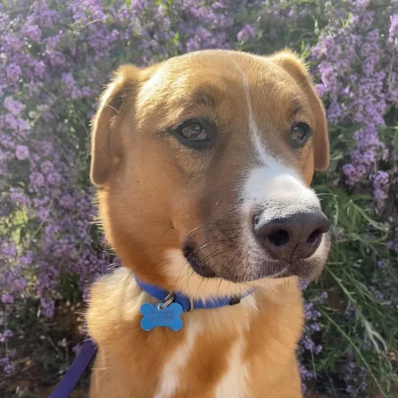 Dr. Seuss thumbnail 4