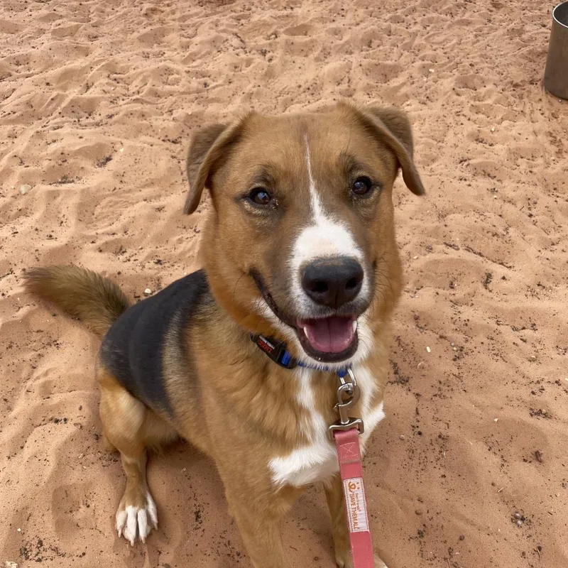 Dr. Seuss thumbnail 5