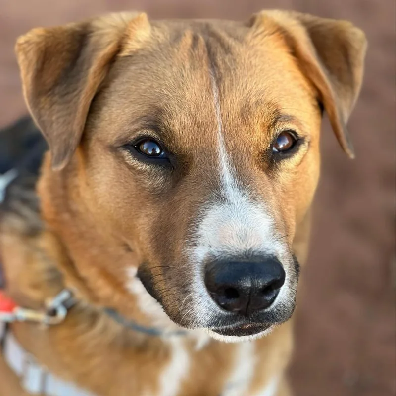 Dr. Seuss thumbnail 6