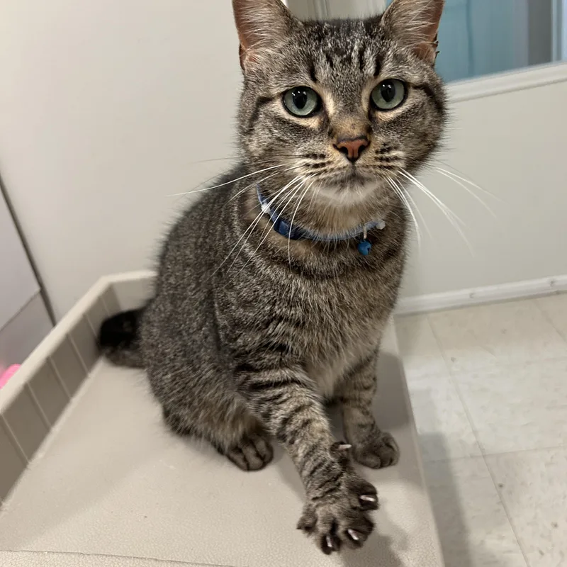 Freddie Mac thumbnail 2