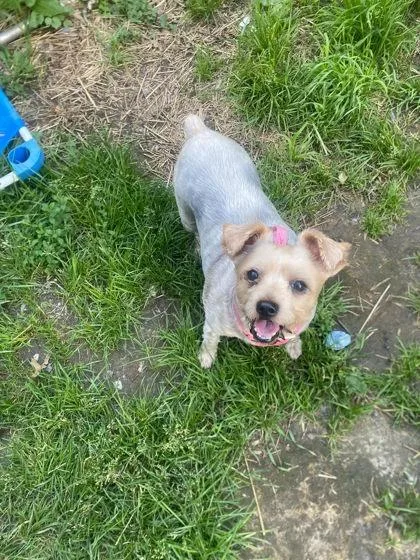 Maggie