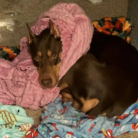 Odin