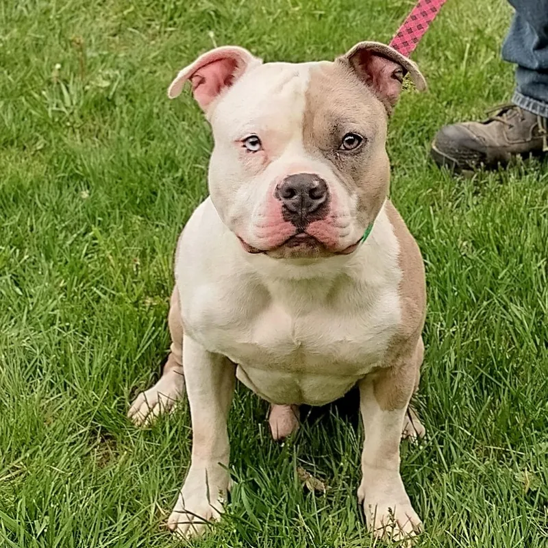 Hercules thumbnail 2