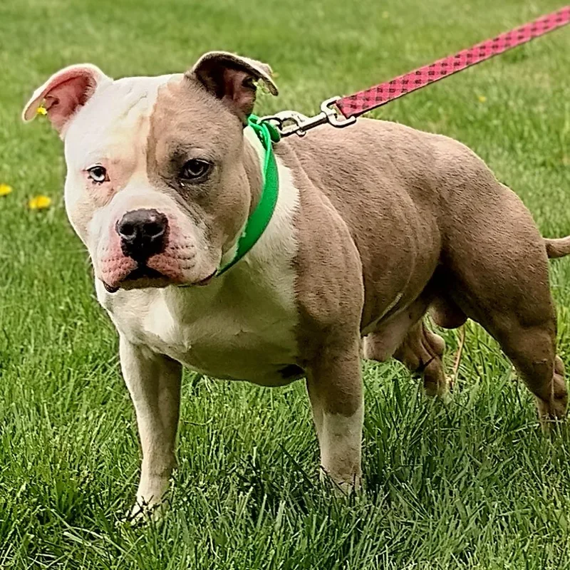 Hercules thumbnail 4