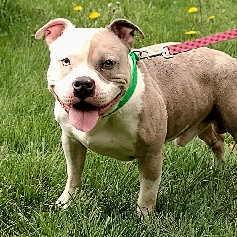 Hercules thumbnail 6