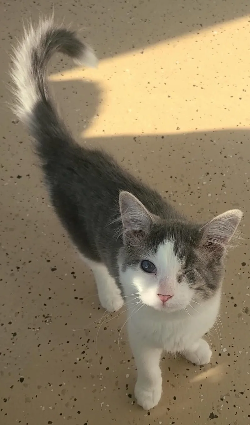 Teeny