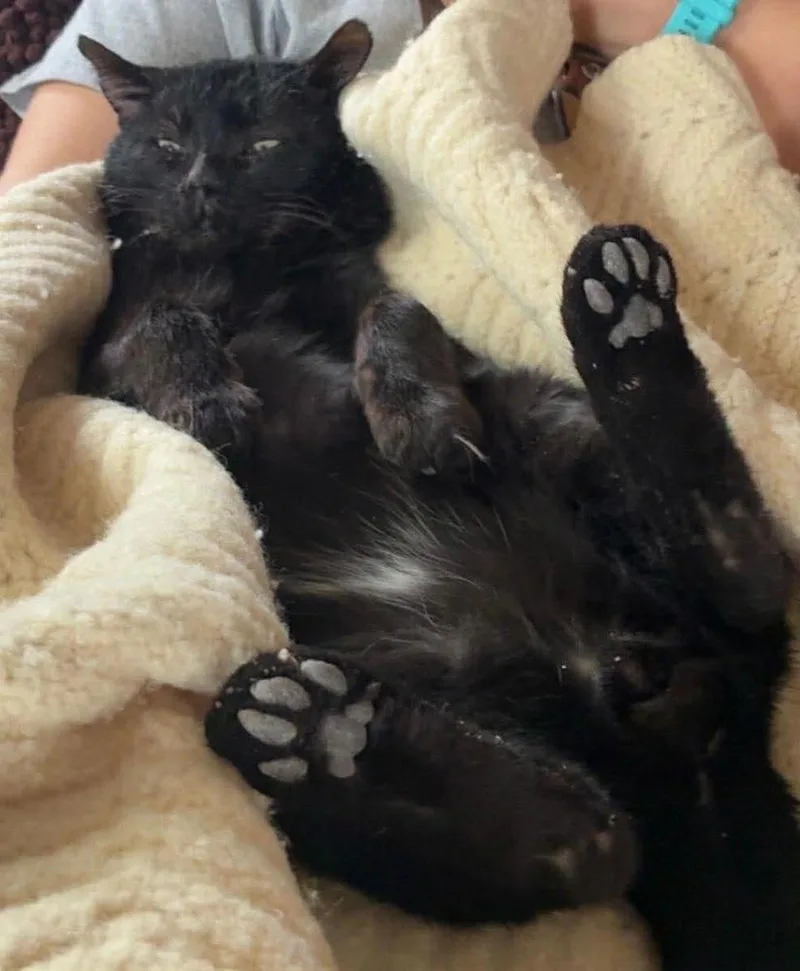 Ned  Fiv+ thumbnail 2