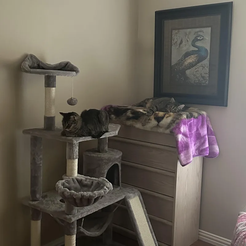 Tommy & Timmy thumbnail 2