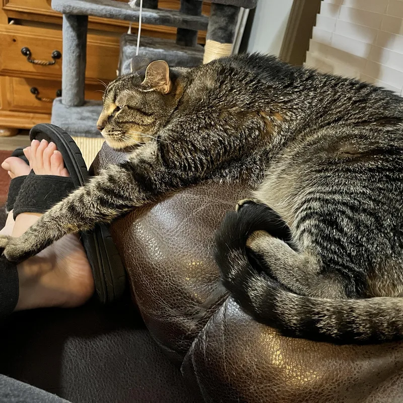 Tommy & Timmy thumbnail 6